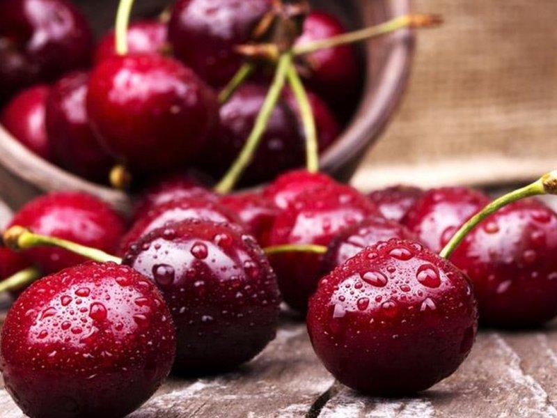 Вишня купить саженцы из питомника в Щёкино